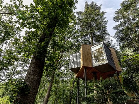 lvtag trtophotel|Secret treehouses in the middle of a Danish forest – The Treetop。